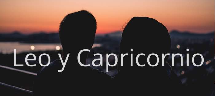 Leo y Capricornio: ¿Hay compatibilidad entre estos dos signos zodiacales?