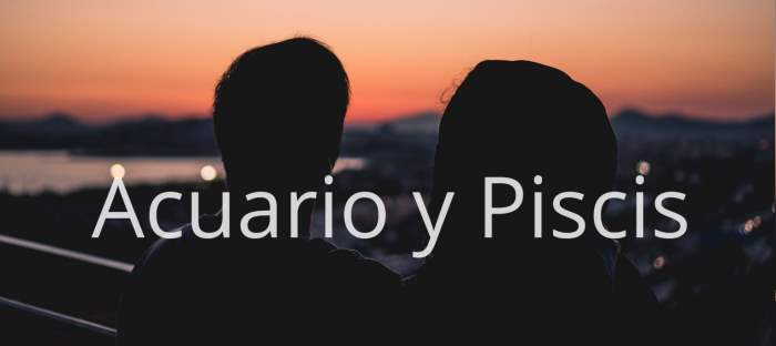 Acuario y Piscis: Descubre en qué son compatibles estos signos y en qué no