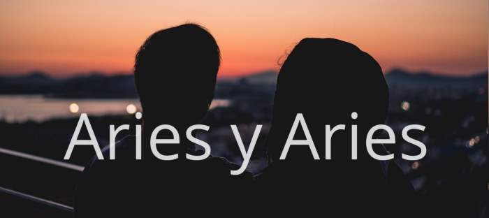 Aries y Aries: ¿Hay suficiente compatibilidad? ¿Tienen futuro juntos?