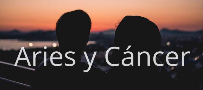 Aries y Cáncer, ¿Una verdadera historia de amor o algo pasajero?