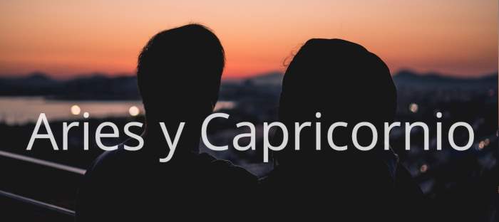 Aries y Capricornio