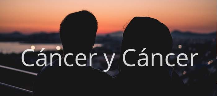 Cáncer y Cáncer: ¿Compatibles en todos los aspectos de la vida?