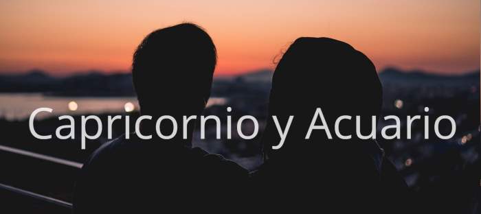 Capricornio y Acuario: Descubre lo que dicen los astros sobre esta bonita pareja