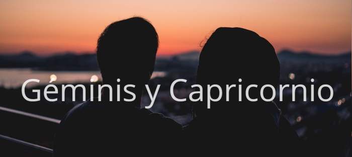 Geminis y Capricornio