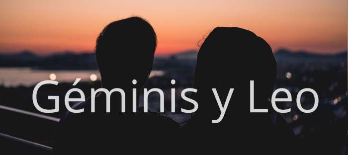 Geminis y Leo