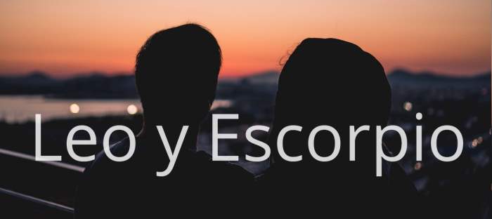 Leo y Escorpio: Descubre en qué son compatibles estos signos y en qué no