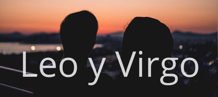 Leo y Virgo: Descubre dónde son compatibles estos signos y dónde no