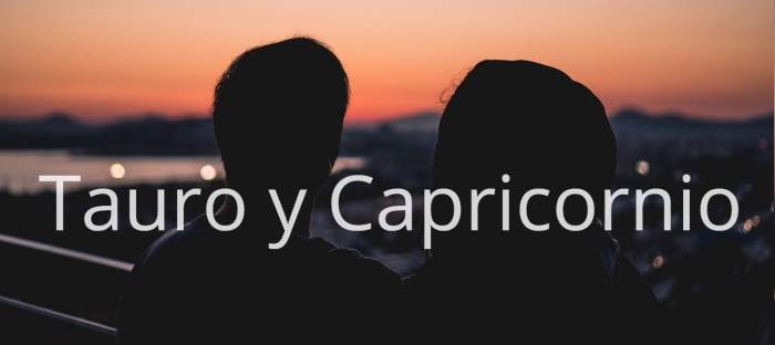 Tauro y Capricornio