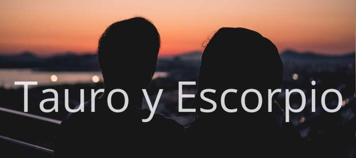 Tauro y Escorpio: Descubre lo que dicen los astros sobre esta bonita pareja