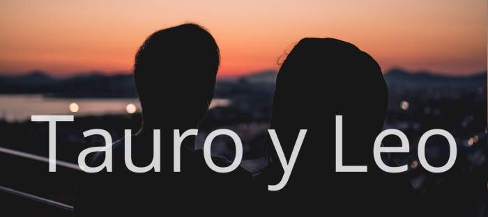 Tauro y Leo: ¿Compatibles en todos los aspectos de la vida?