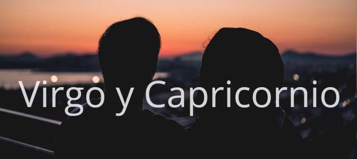 Virgo y Capricornio